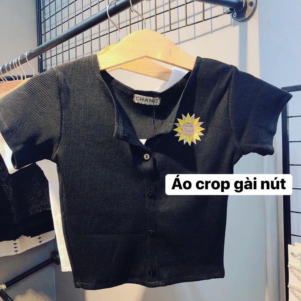 Áo croptop cài nút hoa cúc siêu hot