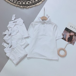 ÁO POLO CỔ ĐỨC