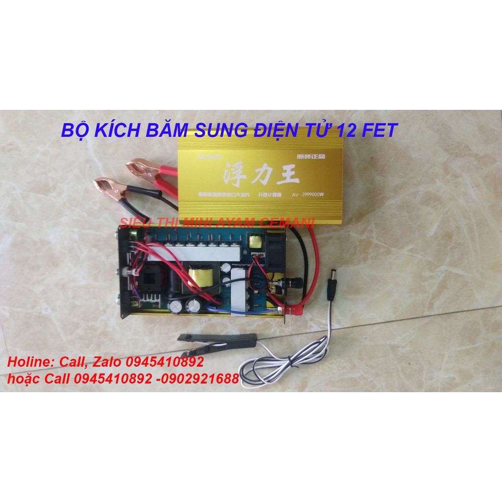 Bộ kích điện tử 12 sò - băm xung 12v