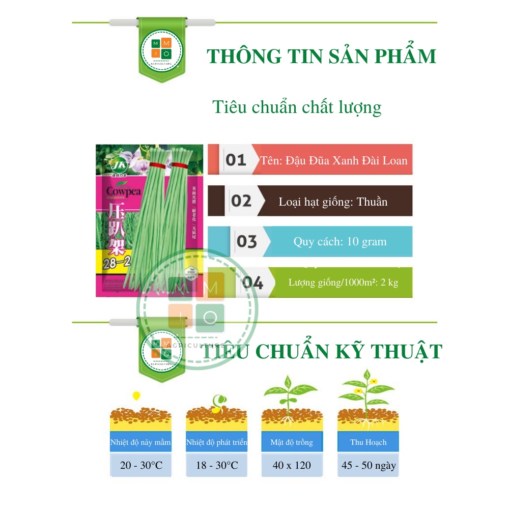 Hạt giống đậu đũa Đài Loan siêu quả