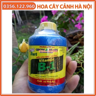PHÂN BÓN CAO CẤP START VITAMIN B1 CHO LAN- NHẬP KHẨU TỪ MỸ 235ML