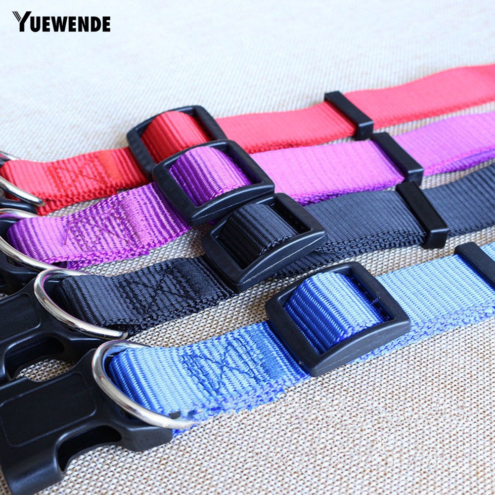 Vòng cổ an toàn đáng yêu dành cho thú cưng