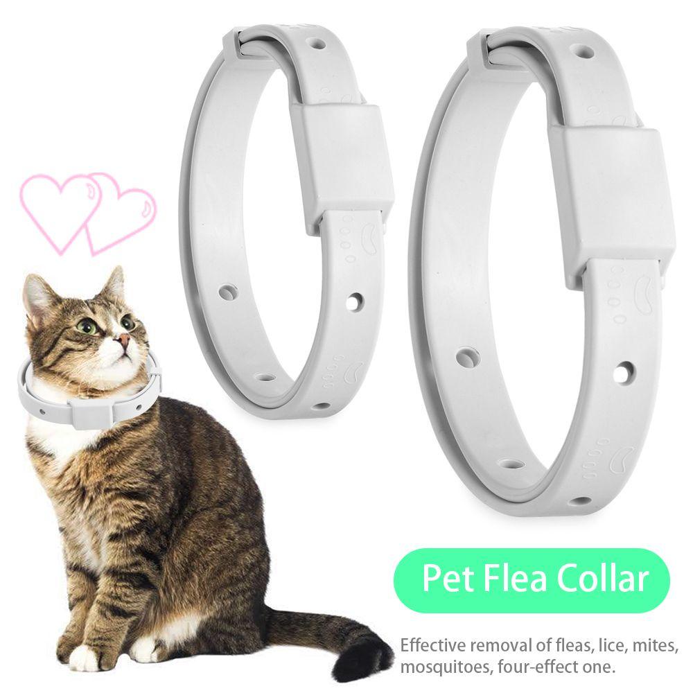 LEISURE Vòng Cổ Chống Bọ Chét Cho Thú Cưng