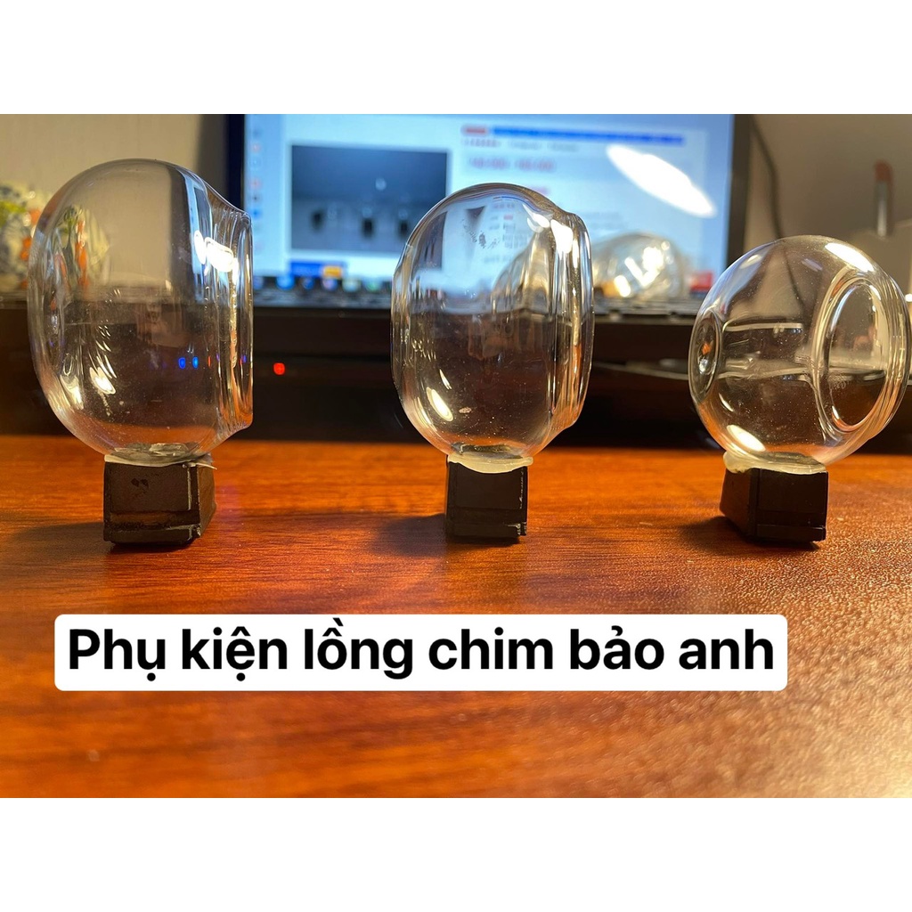 CÓNG THỦY TINH LOAI 1 CHO CHIM CHÀO MÀO DÀY , BỀN , ĐẸP ,RẺ