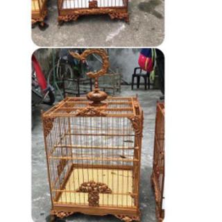 Nước tẩy mốc lồng chim Báu Lê