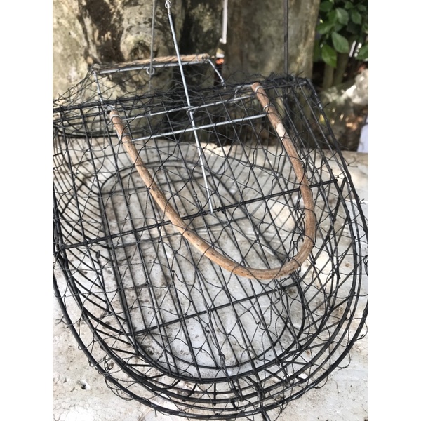 Lụp bẫy chim chào mào, chim choè than