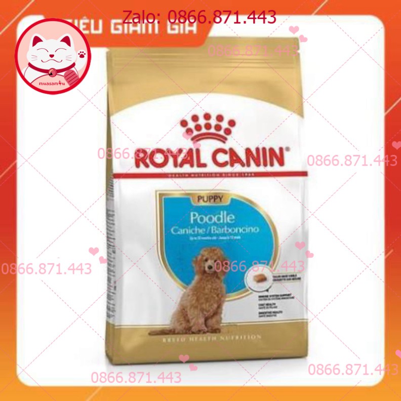 ⚡𝐅𝐑𝐄𝐄𝐒𝐇𝐈𝐏⚡ [GIẢM GIÁ] Thức Ăn Hạt Cho Chó Poodle Nhỏ Royal Canin Poodle Puppy - petshop số 01