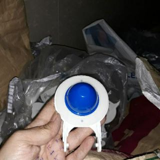 Con cóc bàn cầu