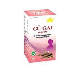 Củ gai kingphar - an thai, dưỡng thai, giảm nguy cơ động thai