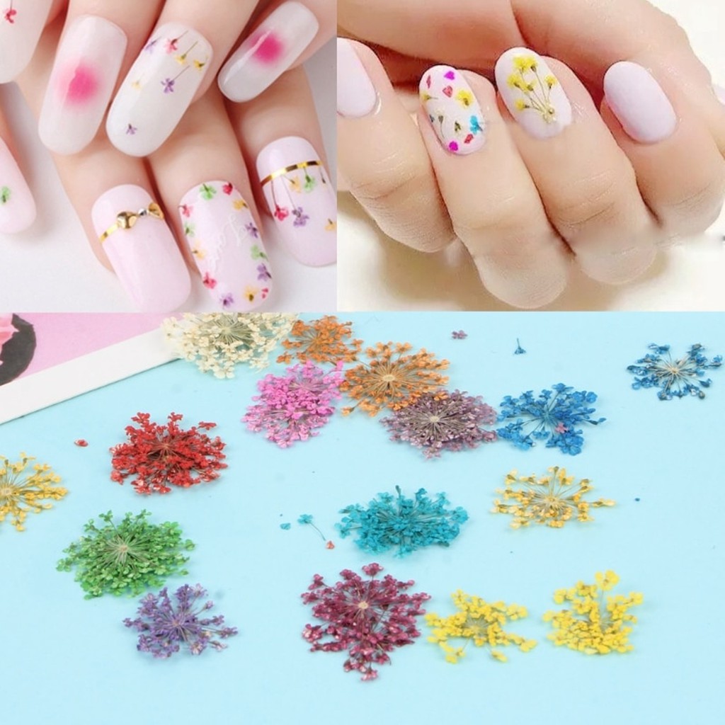 Hộp 12 hoa trang trí nhiều màu trang trí móng tay nghệ thuật HS01 - Nail Store
