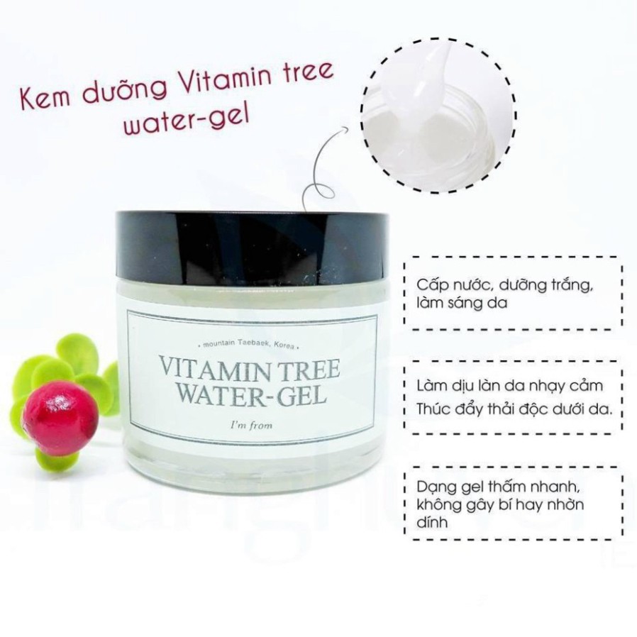 I'm From Vitamin Tree Water Gel - Gel Dưỡng Cấp Nước Chuyên Sâu 75g - 1989Store Phân Phối Chính Hãng Q94