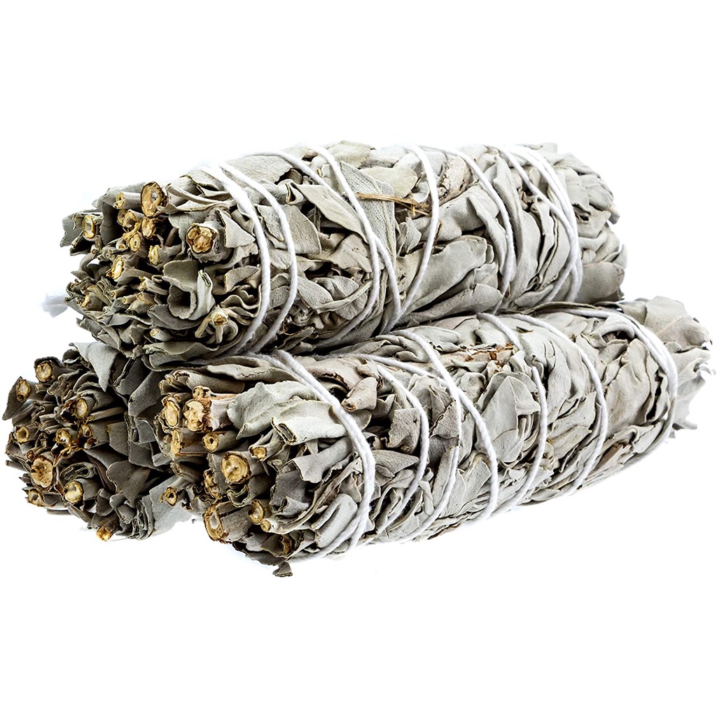[White Sage] Xô Thơm Trắng