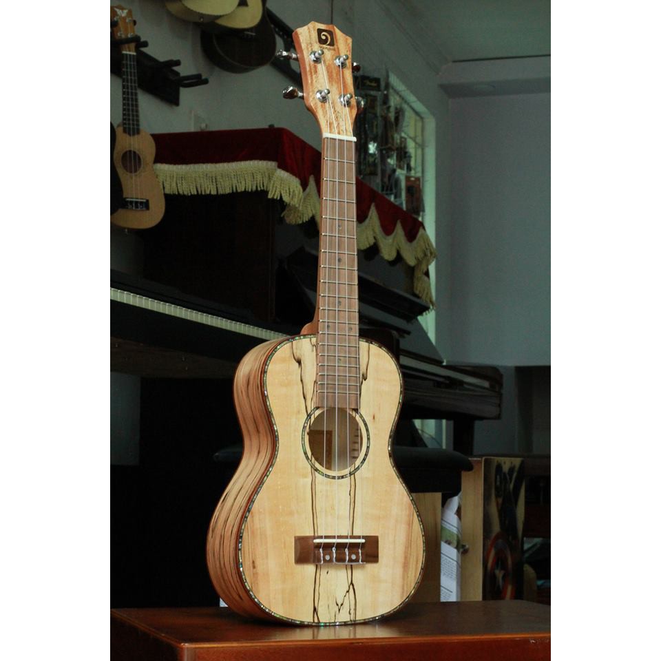 đàn ukulele concert