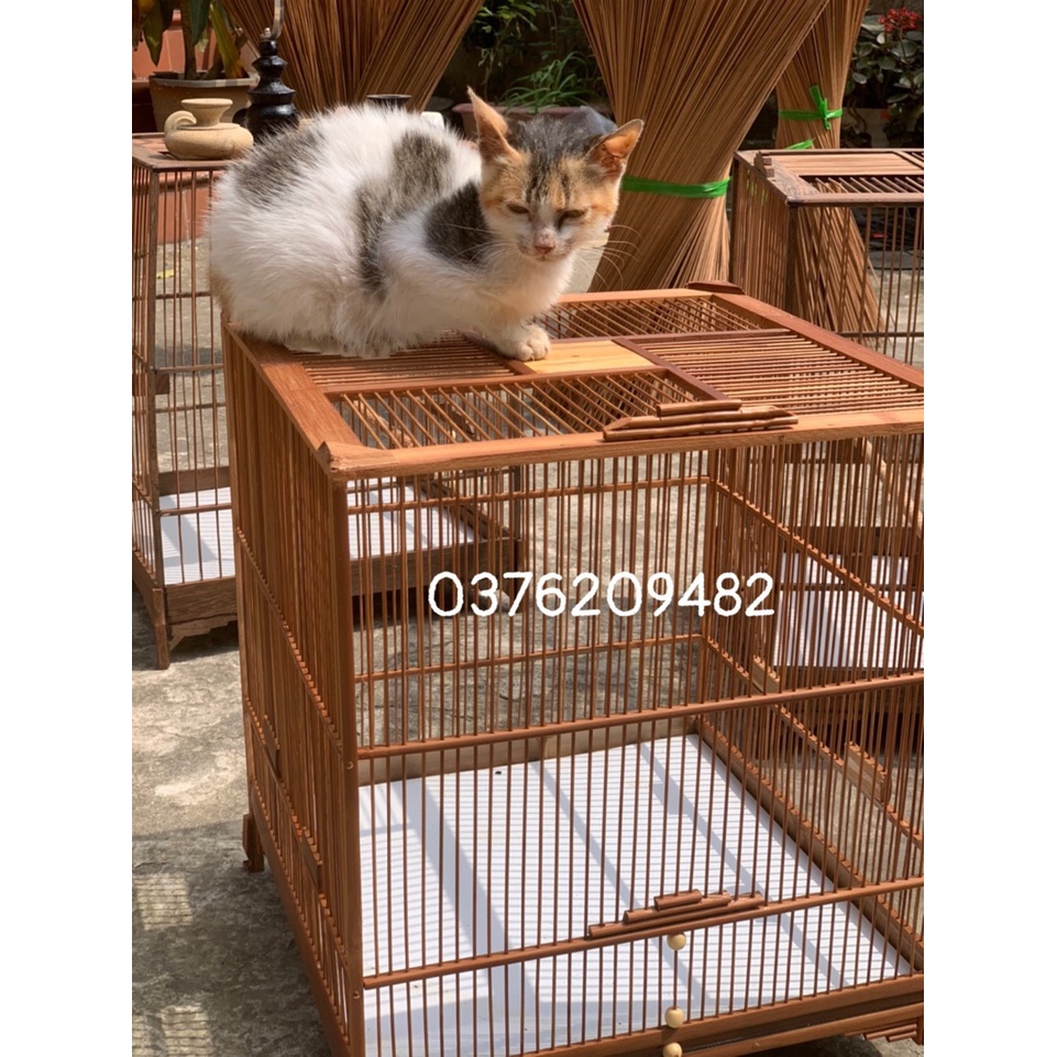 KHUNG LỒNG CHIM TRÚC CHÀO MÀO, KHUUYEENM HÚT MẬT, ỐC MÍT ĐẸP CHẮC CHẮN GIÁ RẺ TỰ RÁP SIÊU DỄ