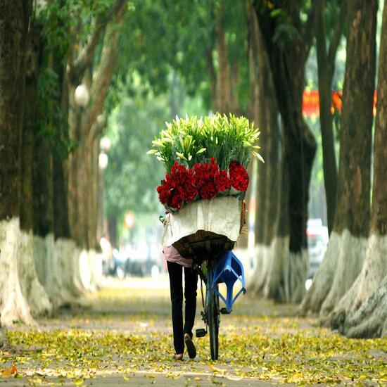 [EVoucher Vietravel] Hà Nội - Xuân Sơn - Bắc Yên - Sống lưng khủng long Tà Xùa - Mộc Châu