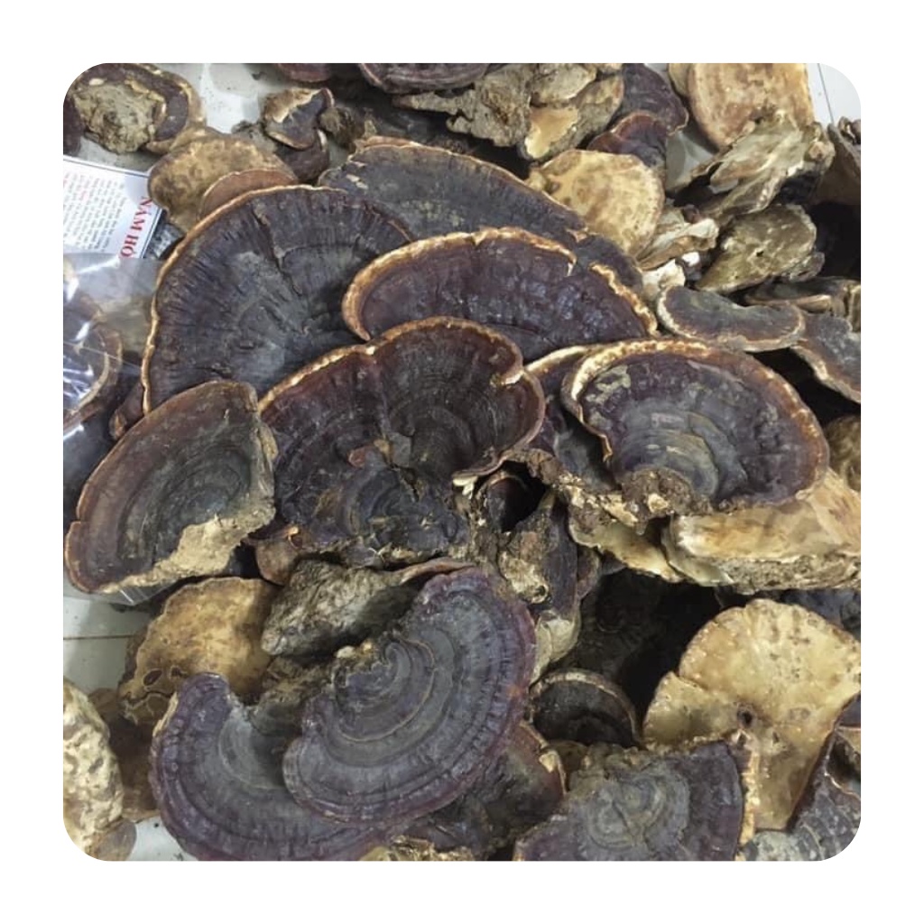 Nấm hồng chi ( nấm linh chi )chuẩn rừng loại to nguyên tai và thái lát tốt cho tim,hỗ trợ huyết áp,gout,tốt cho sức khoẻ | BigBuy360 - bigbuy360.vn