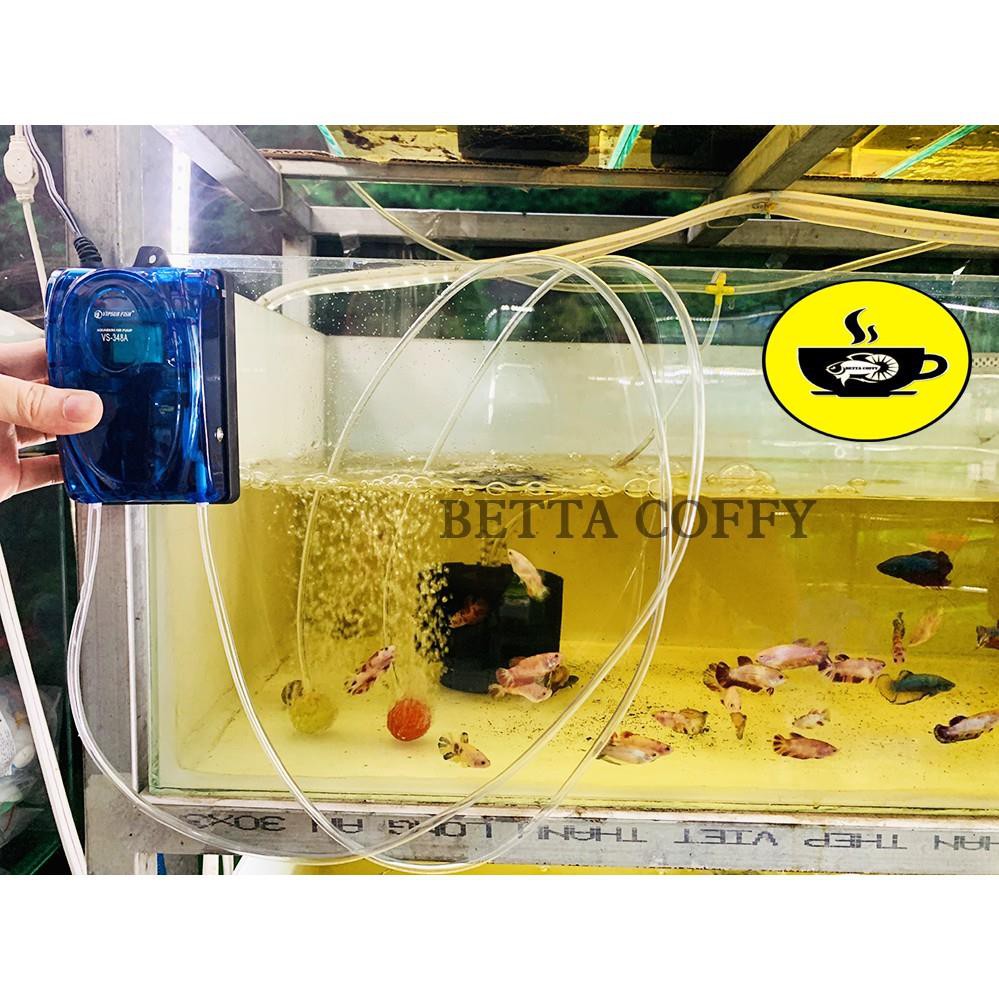 ❄️ Máy sủi oxy Cao Cấp SOBO - Tặng dây + sủi