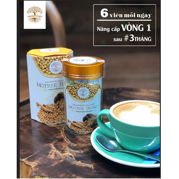 [KHUYẾN MÃI] KẸO MẦM ĐẬU NÀNH COLLAGEN MOTREE BIGSIZE MOCHA