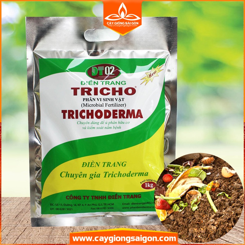 Nấm vi sinh Trichoderma men ủ, phòng bệnh cây trồng