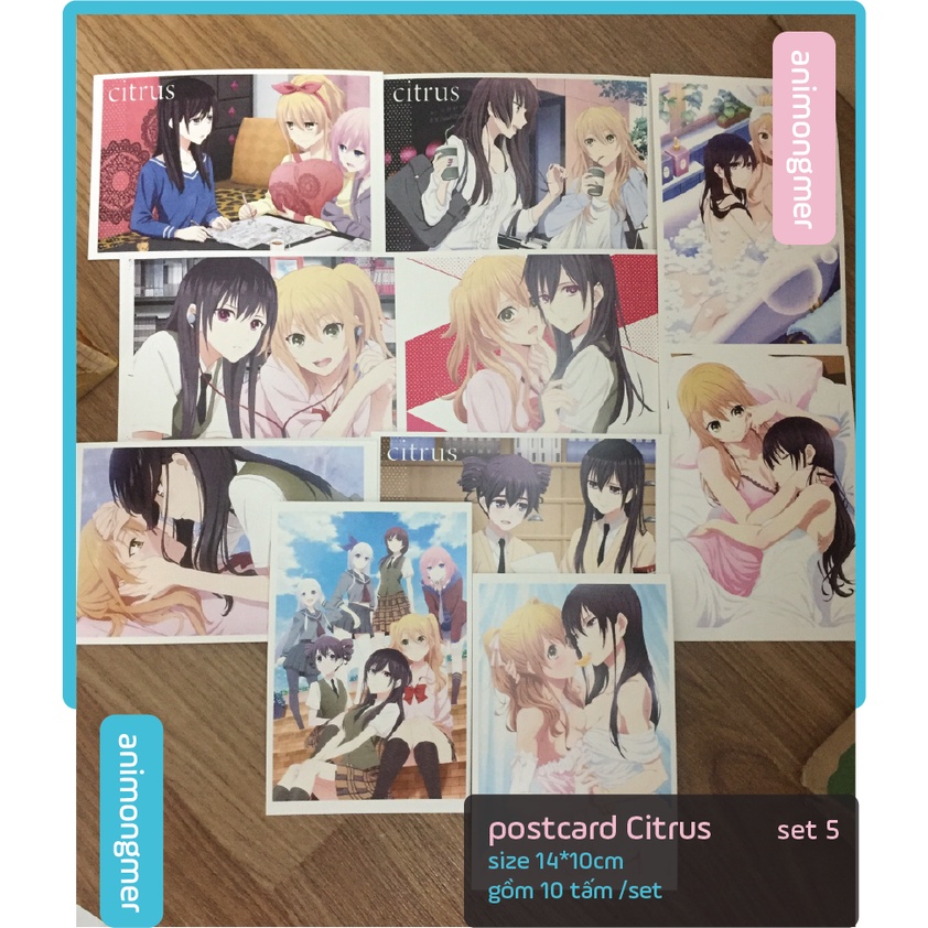 Postcard bưu thiếp Citrus