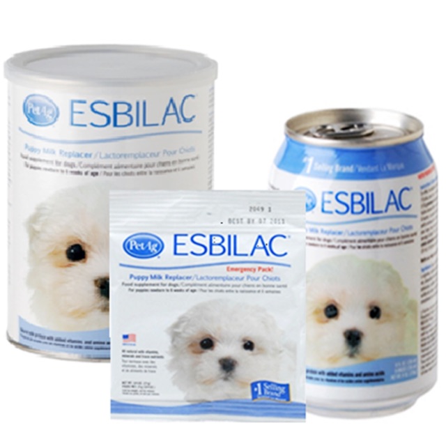Sữa bột và sữa nước Esbilac
