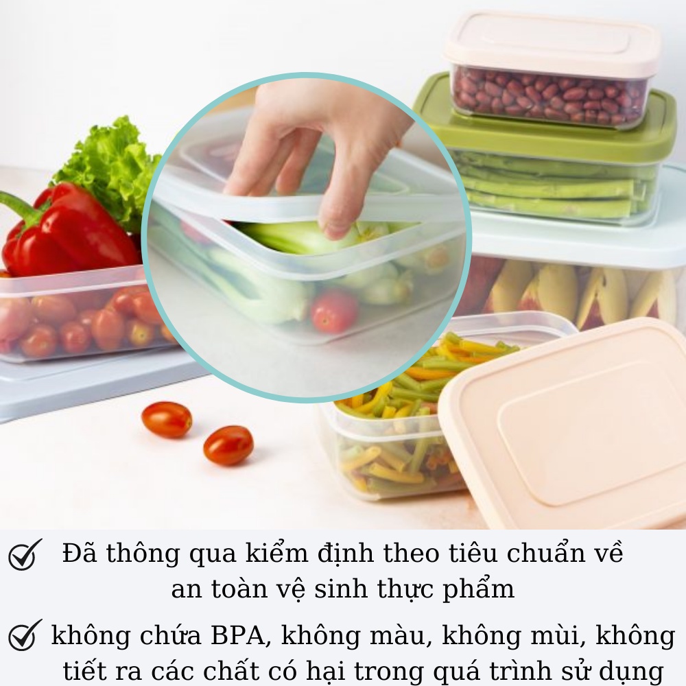 Hộp đựng thực phẩm trữ đông đựng cơm nhựa inochi trong tủ lạnh nhiều size có nắp kín khí