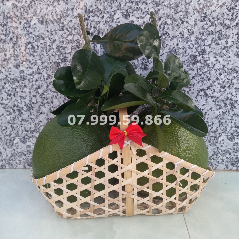 Lẵng mây tre đan, giỏ quà tết, màu cafe