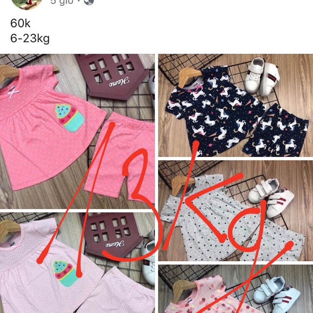 Bộ bozip