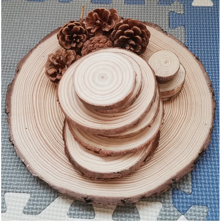 (SIZE TO NHẤT QUẢ ĐẤT) Miếng gỗ thông tự nhiên mộc mạc trang trí chụp ảnh, làm handmade