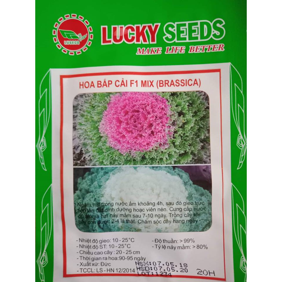 [SỈ=LẺ] Hạt giống Hoa Bắp Cải nhiều màu LUCKY SEED ( 20 hạt)Còn hàng