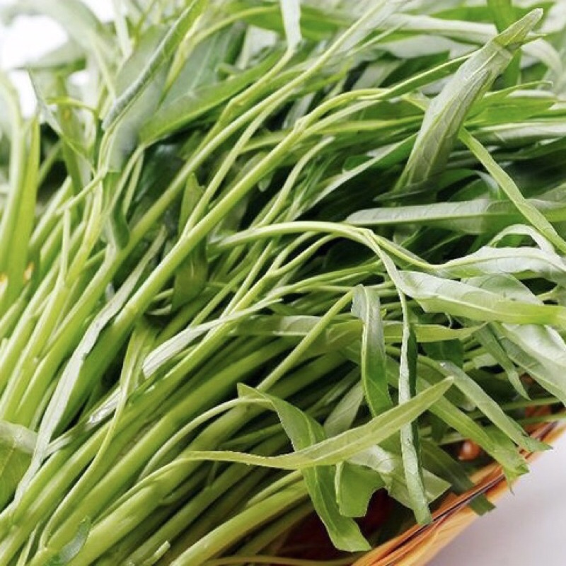 Hạt giống rau muống lá tre, hạt giống rau muống, dễ trồng nhanh thu hoạch