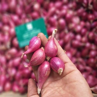 Hành tím, tỏi lý sơn size vừa bao thơm chính gốc