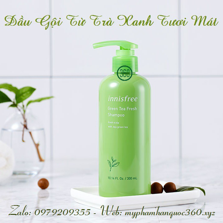 [mẫu mới] Dầu Gội Từ Trà Xanh Innisfree Green Tea Fresh Shampoo 300ml