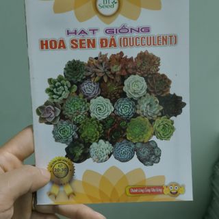 Combo 2 gói Hạt giống sen đá -  Rau củ quả trồng tại vườn, sân thượng, nông trang, ban công
