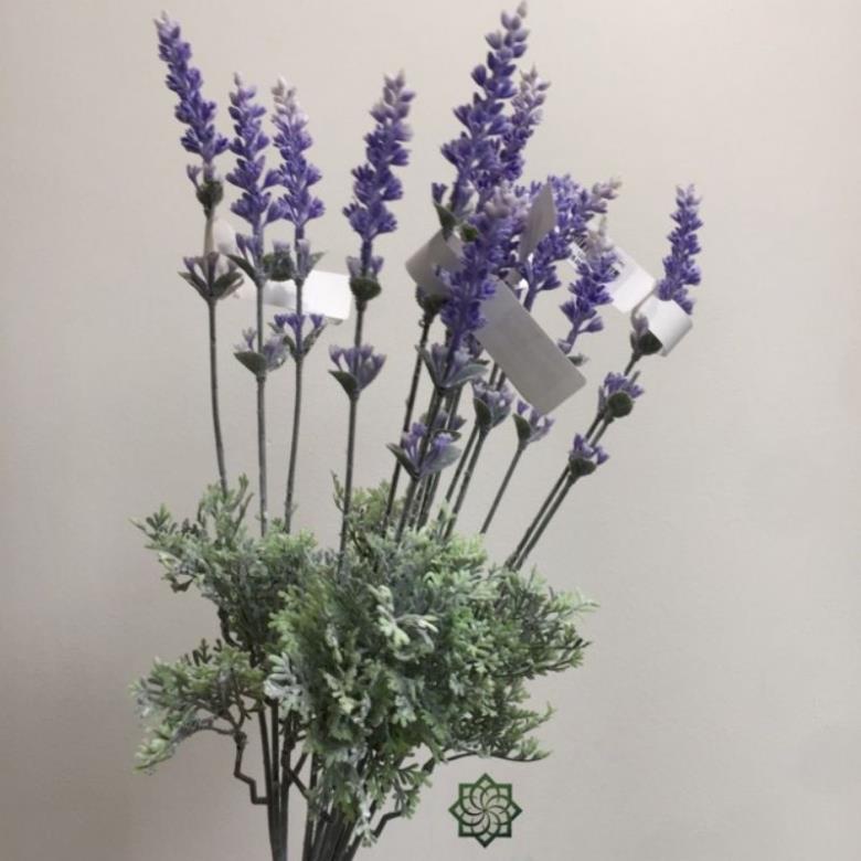 Violet 3n màu tím siêu đẹp