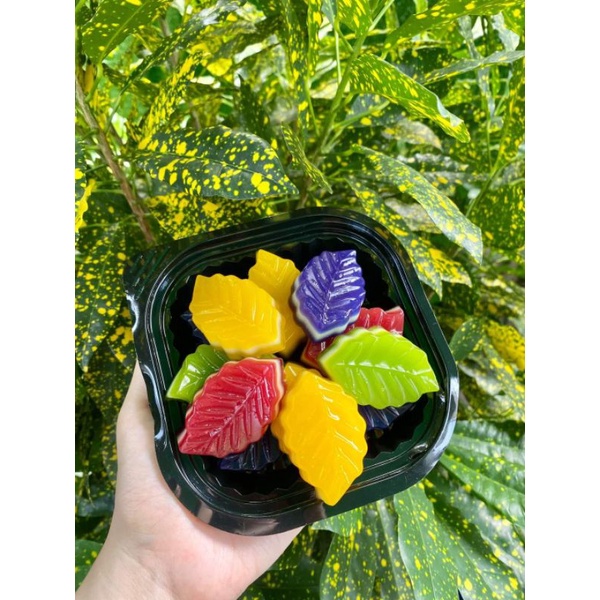 Khay đá làm rau câu