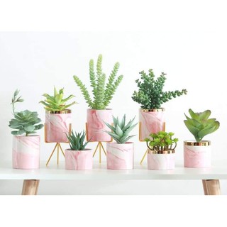 Lọ sứ decor cắm hoa giả, trồng cây cảnh thật, trang trí bàn tiệc, đựng thìa, nĩa