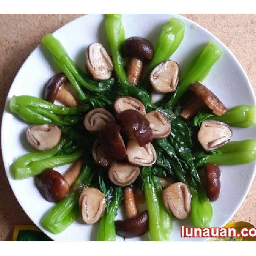 Hạt Giống Rau Cải Thìa Cao Sản  - Gói 20gram KNS2532