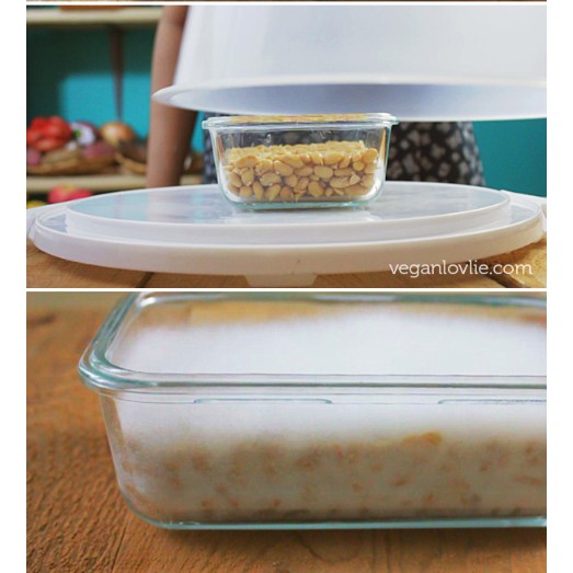 Men làm tempeh Indonesia truyền thống gói 50g/100g/500g