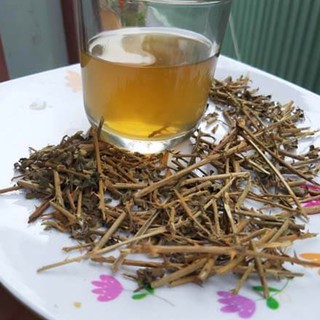 Cà gai leo rễ và thân khô Hòa Bình 1kg - Thanh nhiệt, giải độc, mát gan - Trà thảo mộc Daystea