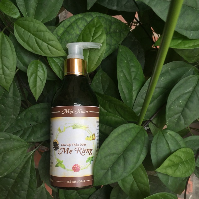 Cao gội thảo dược me rừng ( compo)