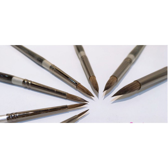 Cọ Nhọn Sunway B207 Lông Sóc vẽ màu nước, acrylic