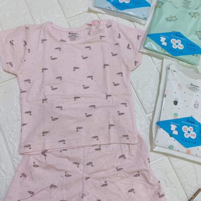 Bộ avalew cộc