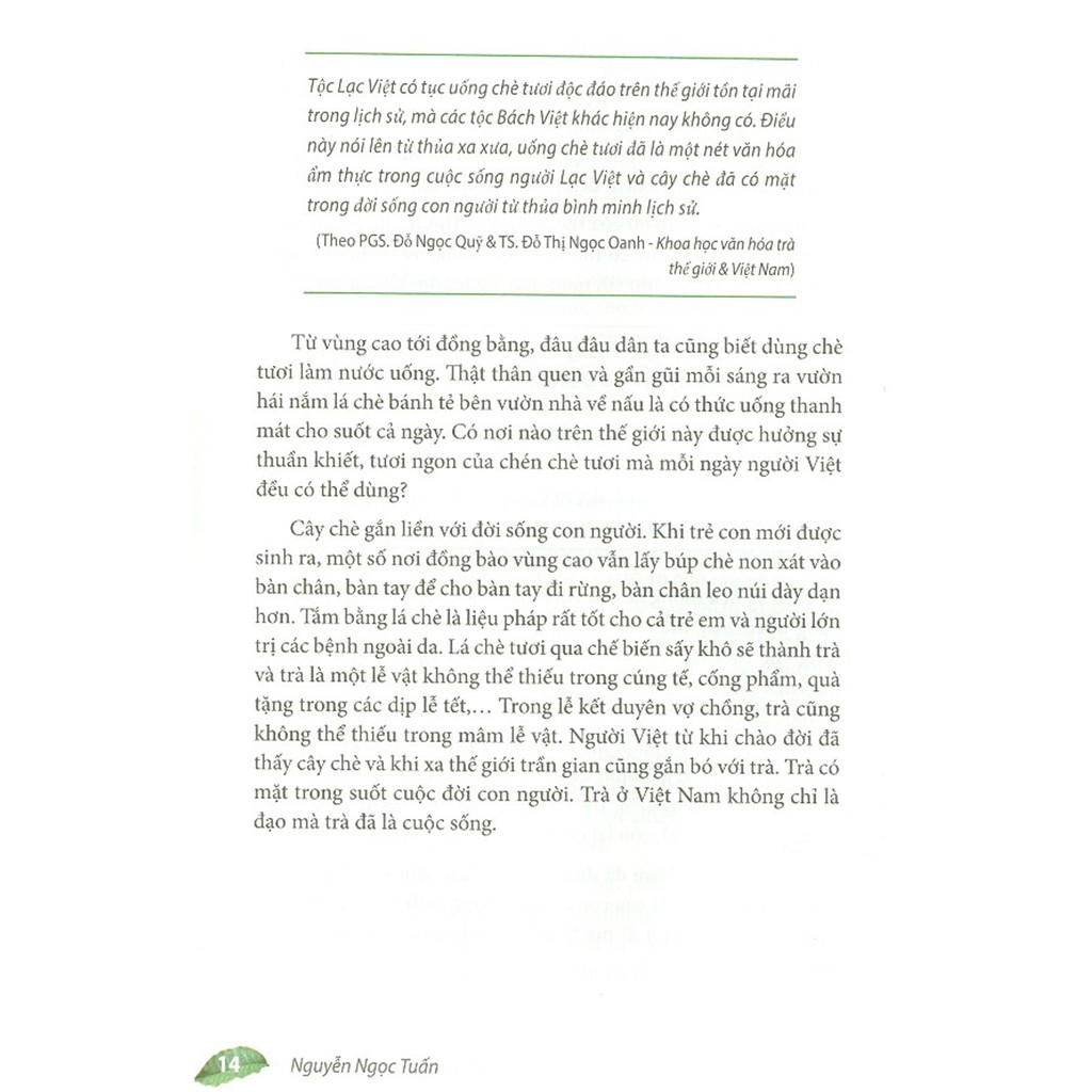 Sách - Phác Thảo Danh Trà Việt Nam | BigBuy360 - bigbuy360.vn