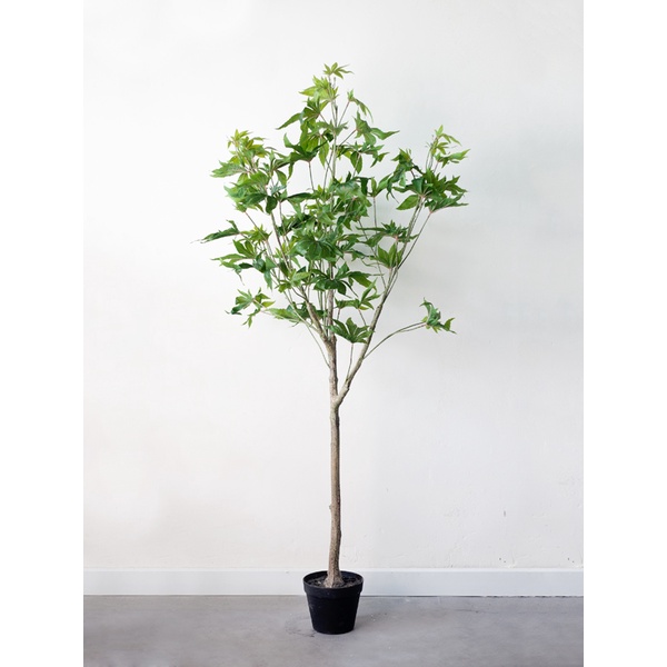 Cây Phong cây giả decor CC71 - 150cm - Jassi Decor