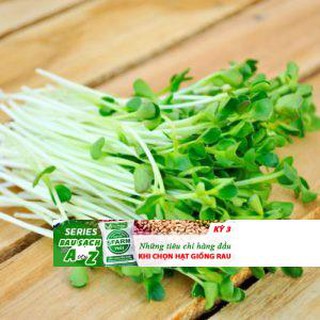 100 Hạt Giống Rau Mầm Cải Ngọt