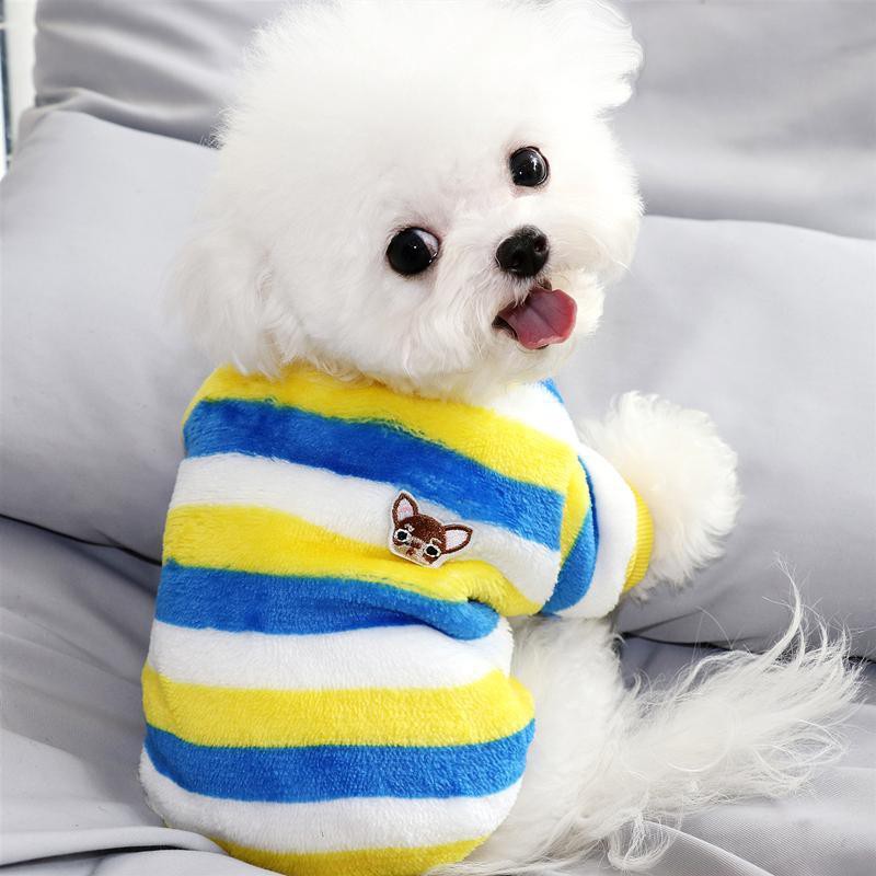 Vật nuôi đặc biệt Teddy Bichon Pomeranian Schnauzer Poodle Yorkshire Terrier Chó nhỏ Mèo con sữa Quần áo