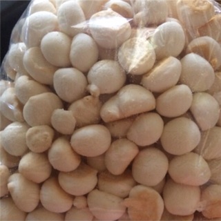 Bánh men sữa dừa 1kg