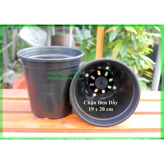 Chậu nhựa tròn trồng cây – kích thước 19 * 20 cm
