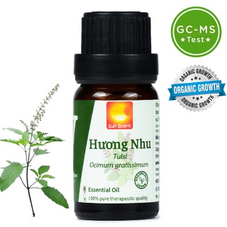 Tinh dầu Hương Nhu dưỡng tóc nguyên chất